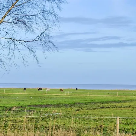 Holiday Home Asfrid - 3-5Km From The Sea By Interhome *